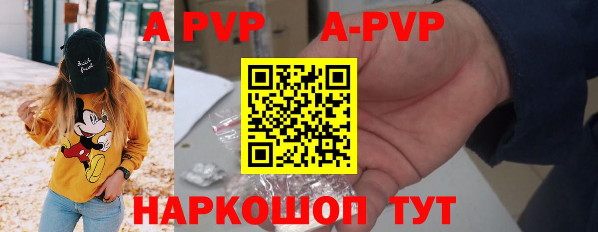 A PVP СК КРИС  Вход с VPN  Alpha PVP  APVP СК  Гусев  Альфа ПВП СК 