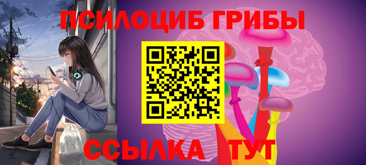 Гусев  Псилоцибиновые грибы мицелий  Вход с VPN 